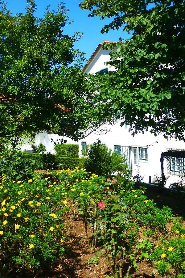 Comfy Sintra Bed & Breakfast